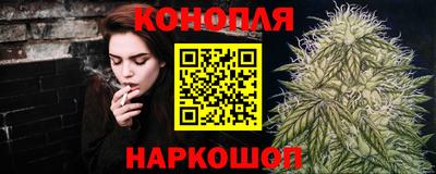 крисы Новодвинск