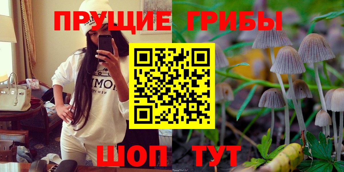 Псилоцибиновые грибы Psilocybine cubensis Протвино