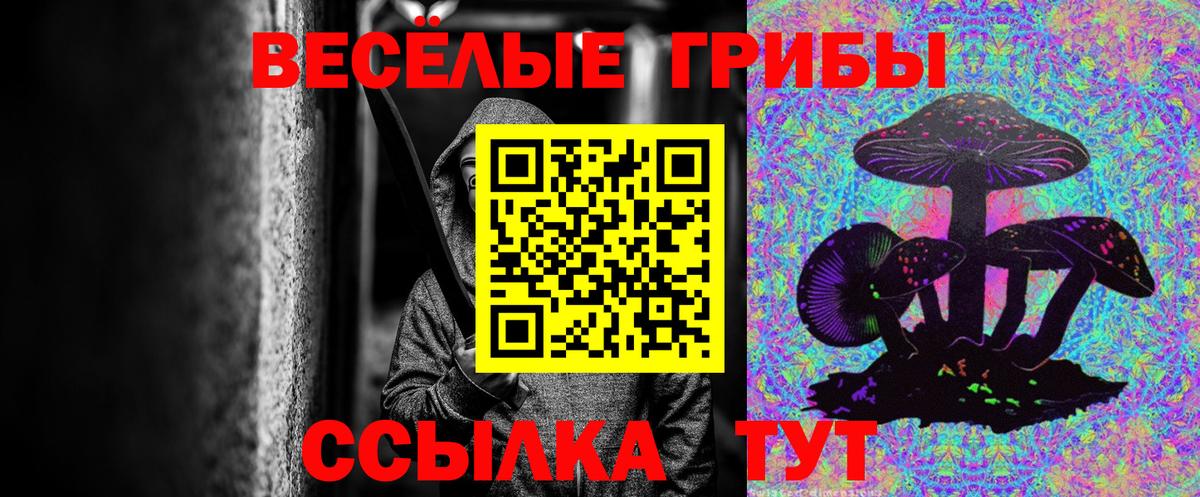 Протвино  Галлюциногенные грибы Psilocybine cubensis  Псилоцибиновые грибы MAGIC MUSHROOMS  Вход с VPN 